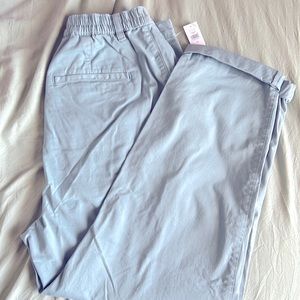NWT Gap pleated Trousers